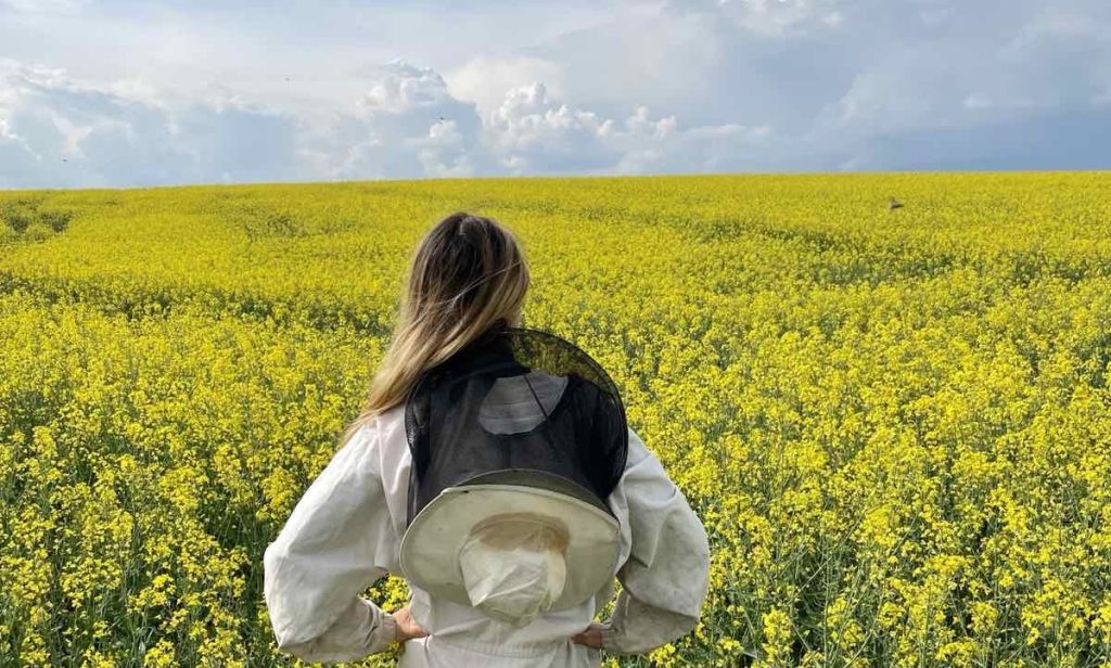 „Élet Szigete” hálózat